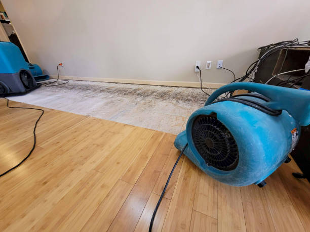 Professional Flood Damage Cleanup technician working in Kingston, OK
